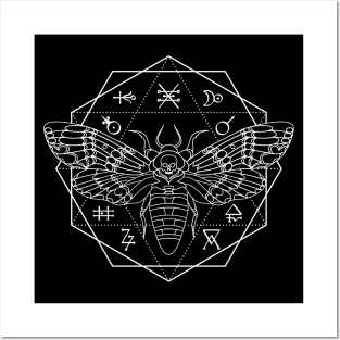 Death's Head HawkMoth dodecahedron Posters and Art